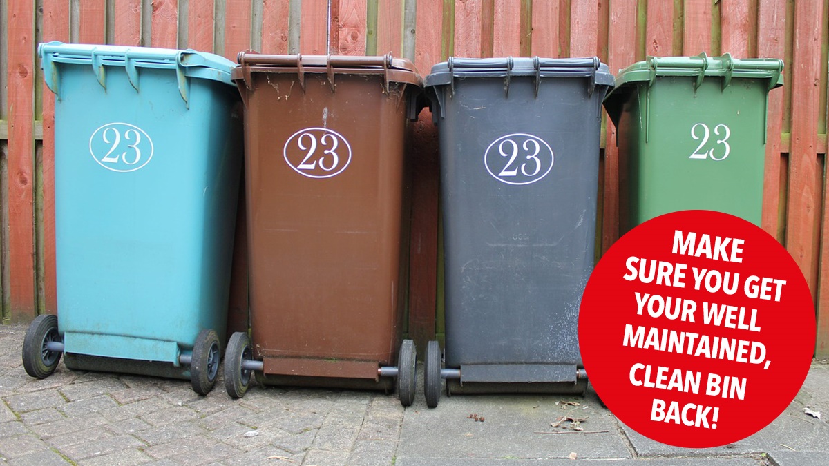 Clean your bin to keep it pest free Clean your bin to keep it pest free